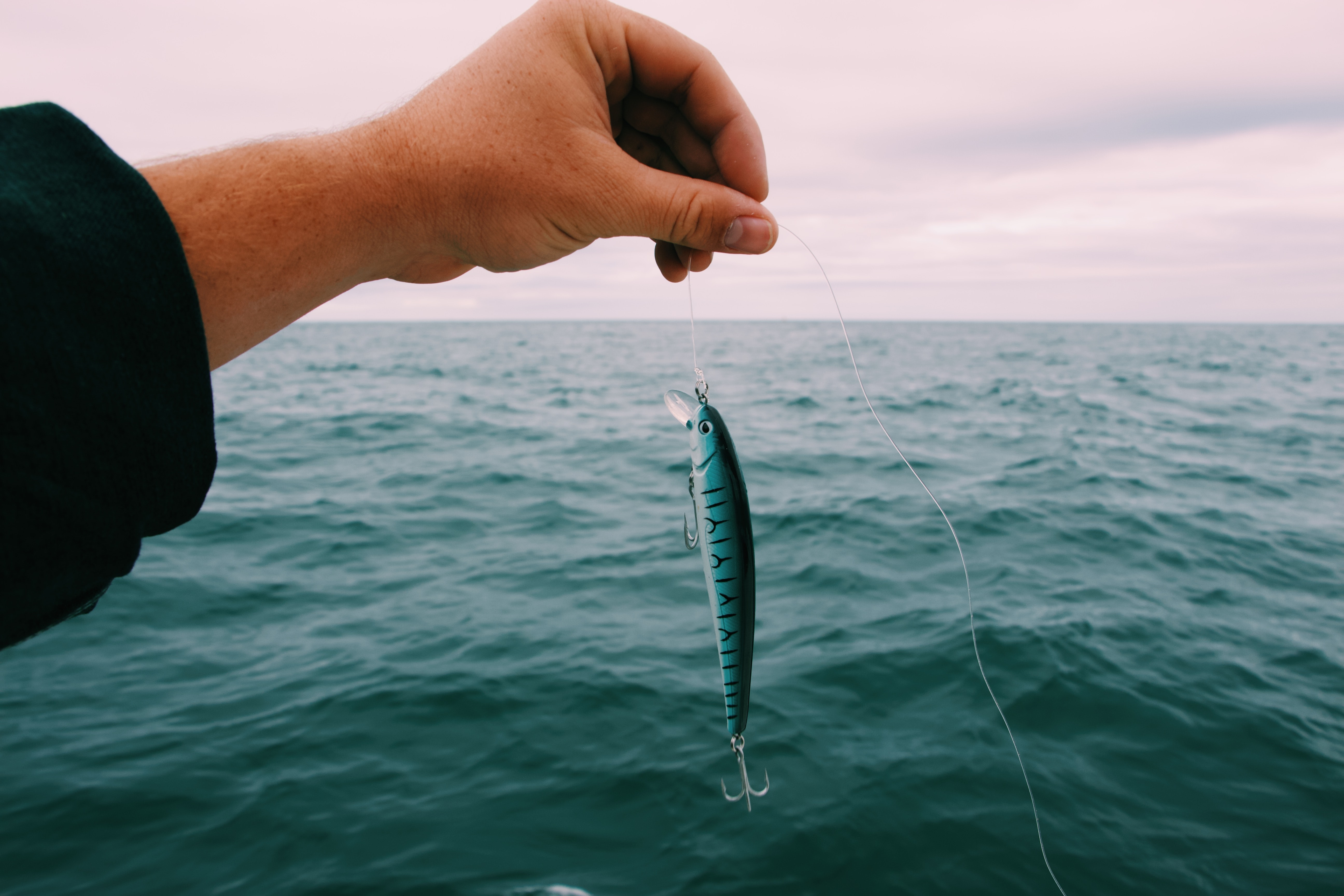 img of Science demonstrates the ineffectiveness of common anti-phishing methods
